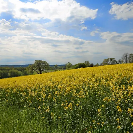 Hinter-bollhagen Wittenbeck